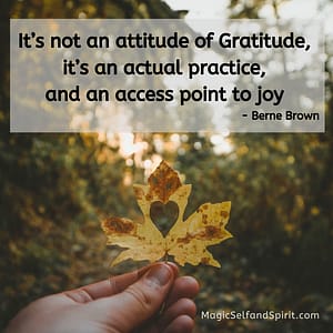 Its not an attitude of gratitude, its an actual pracctice, and an access point to joy